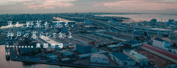 【東部市場公式PR動画】魚も、野菜も、花も、神戸の暮らしを彩る東部市場（フルバージョン）